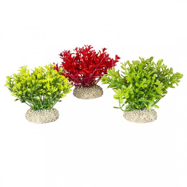 Aqua Della Plants Glosso S 9cm Aqua Della Plants Glosso S 9cm