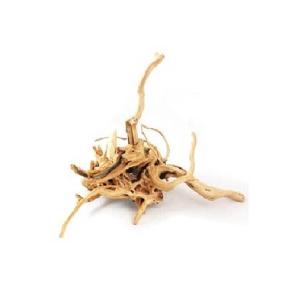 Azalea Root (1kg)