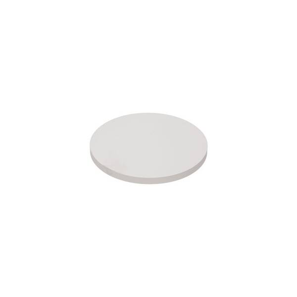 Blau Spare Ceramic Disc (Φ:20mm)