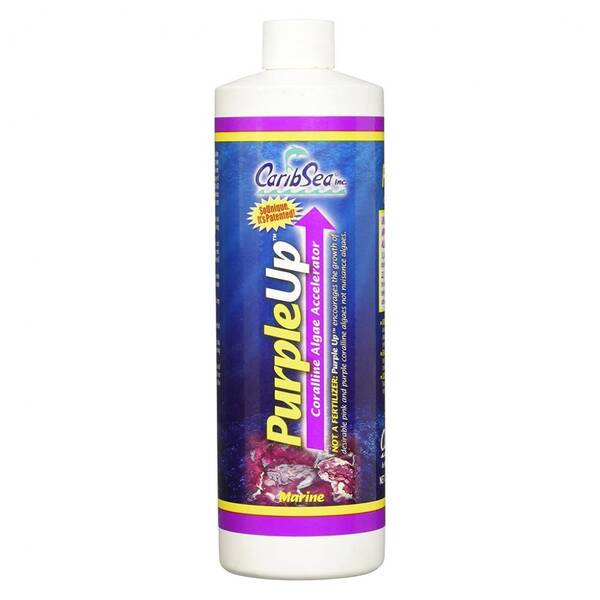 Carib Sea Purple Up 473ml
