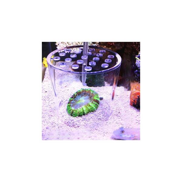 Coral Feeding Cover 120