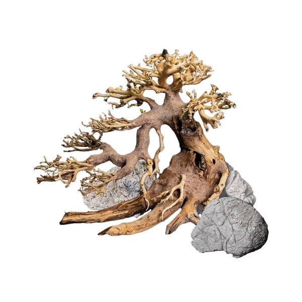 Dennerle Decor Bonsai Box