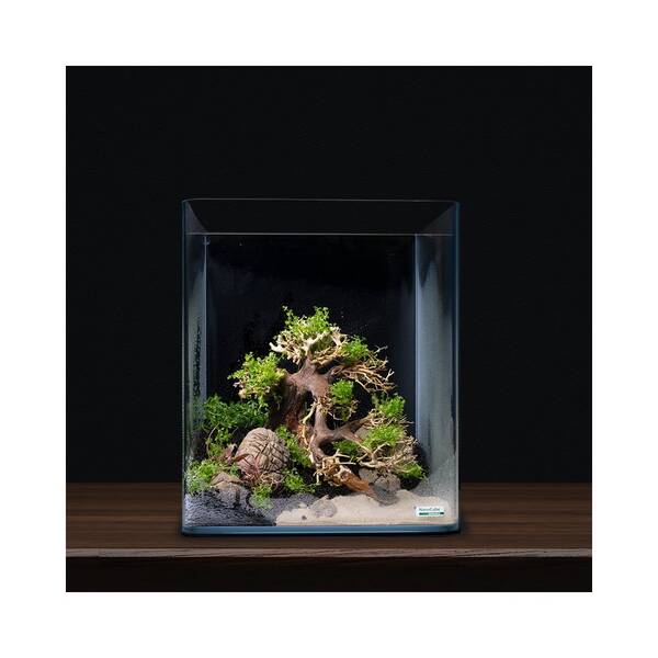 Dennerle Decor Bonsai Box