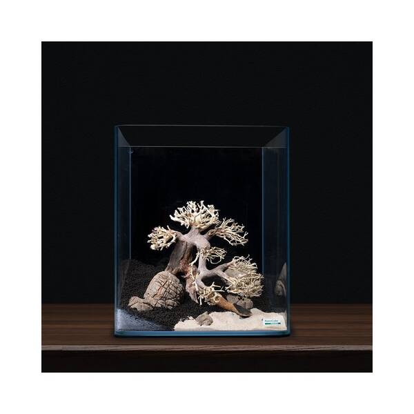 Dennerle Decor Bonsai Box