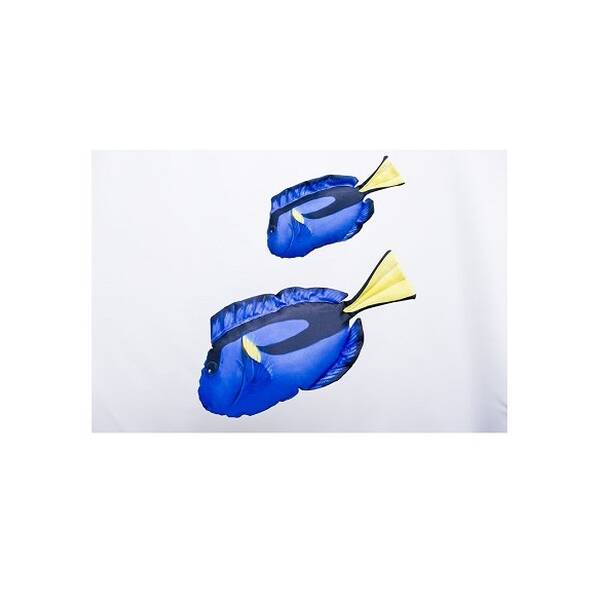 Dori/Hepatus Tang Pillow Medium Dori/Hepatus Tang Pillow Medium