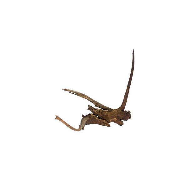 Driftwood(Hornwood) 25-40cm (1kg)