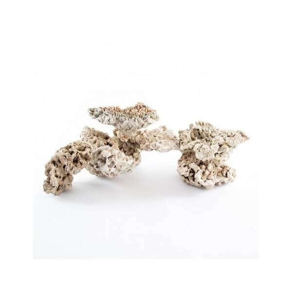 Dry Base Rock Indonesia (1kg)