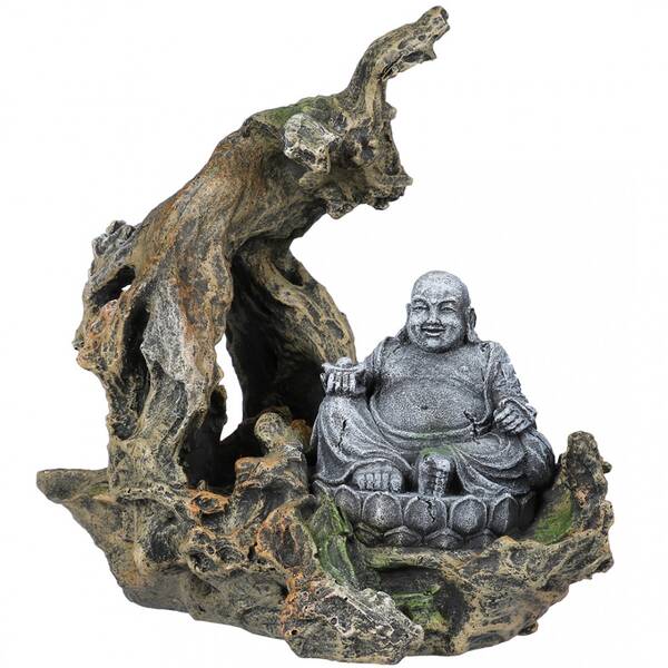 Europet Bernina Buddha branche Europet Bernina Buddha branche