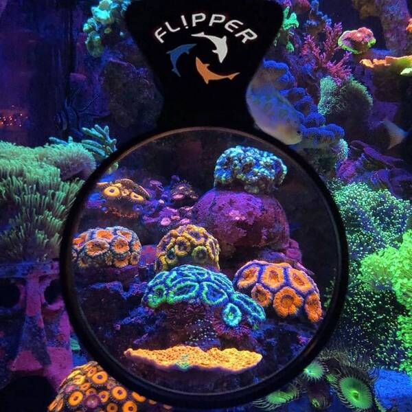 Flipper DeepSee Nano Flipper DeepSee Nano
