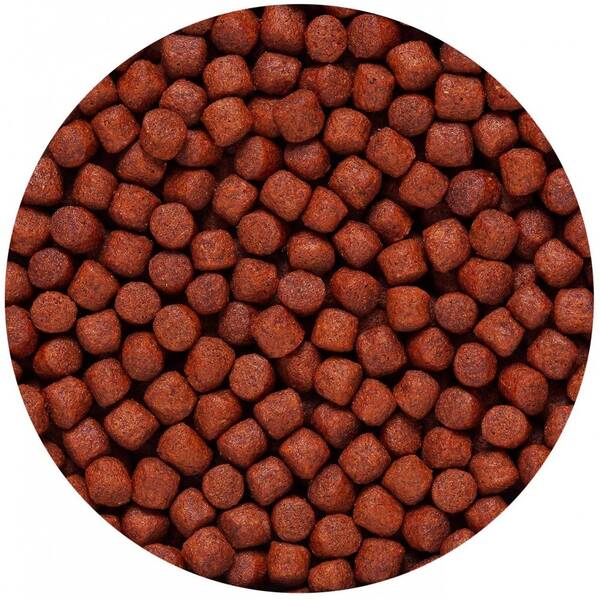 Hikari Blood-Red Parrot Plus Medium 600gr Hikari Blood-Red Parrot Plus Medium 600gr