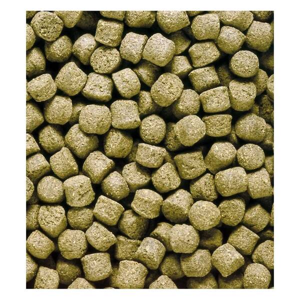 Hikari Cichlid Excel Medium 250gr Hikari Cichlid Excel Medium 250gr