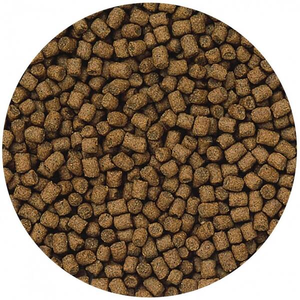 Hikari Lionhead Mini 100gr Hikari Lionhead Mini 100gr