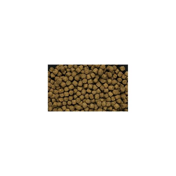 Hikari Silkworm Selects Medium 500gr