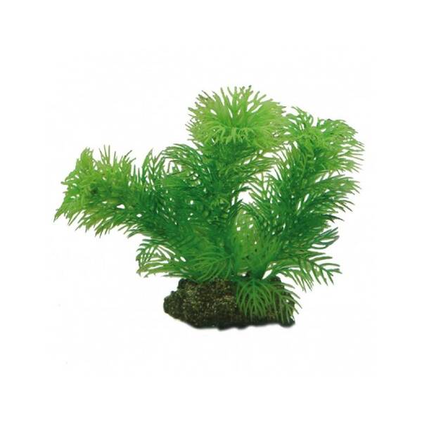 Hobby Egeria 13 cm