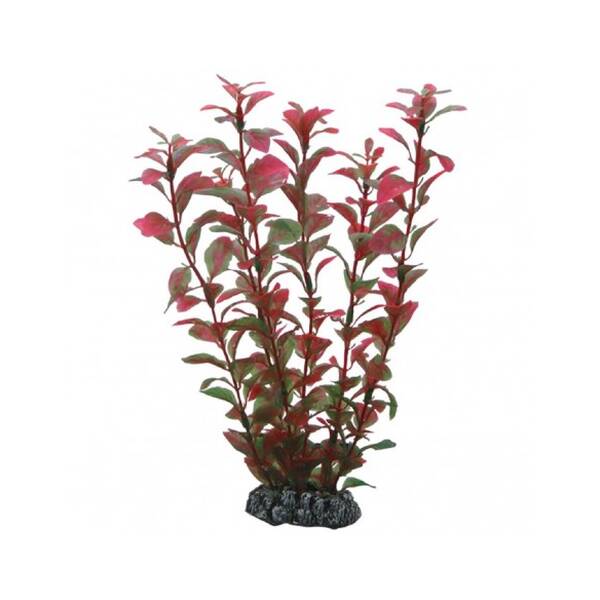 Hobby Ludwigia 25 cm