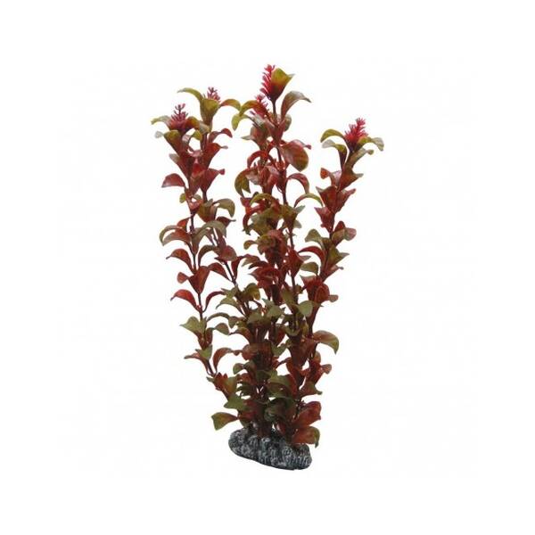 Hobby Rotala 30cm