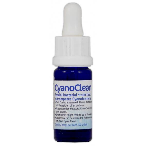 Korallen Zucht Cyano Clean 10 ml