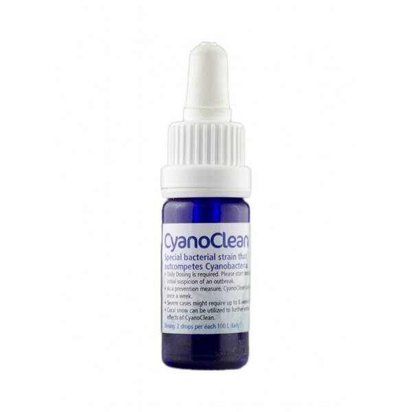 Korallen-Zucht Cyano Clean 50 ml