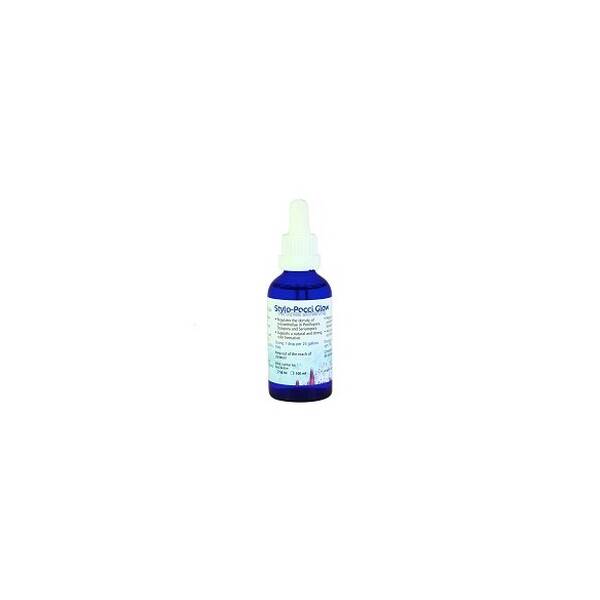 Korallen-zucht Stylo Pocci Glow 50ml