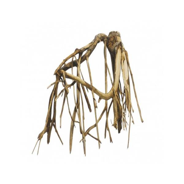 Mangle Wood (1kg)