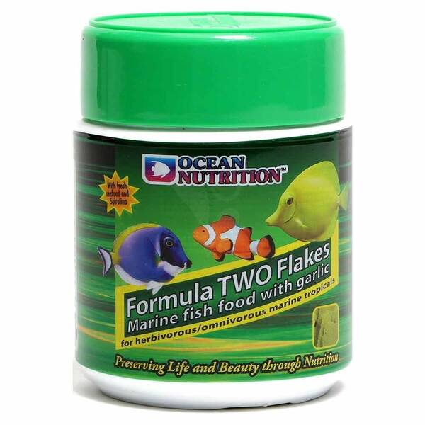 Ocean Nutrition Formula 2 156 gr Ocean Nutrition Formula 2 156 gr
