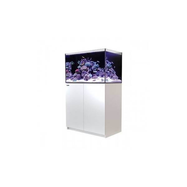 Red Sea Reefer 250 White