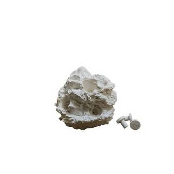 ReefTech Frags Dome Triple Holes