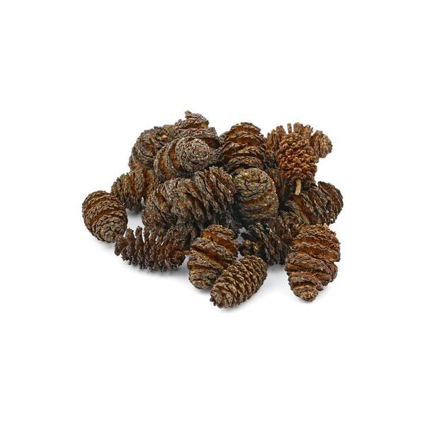 Sera Alder Cones 50pcs