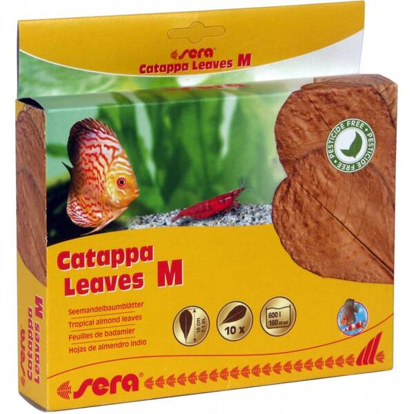 Sera Catappa Leaves M 10pcs Sera Catappa Leaves M 10pcs