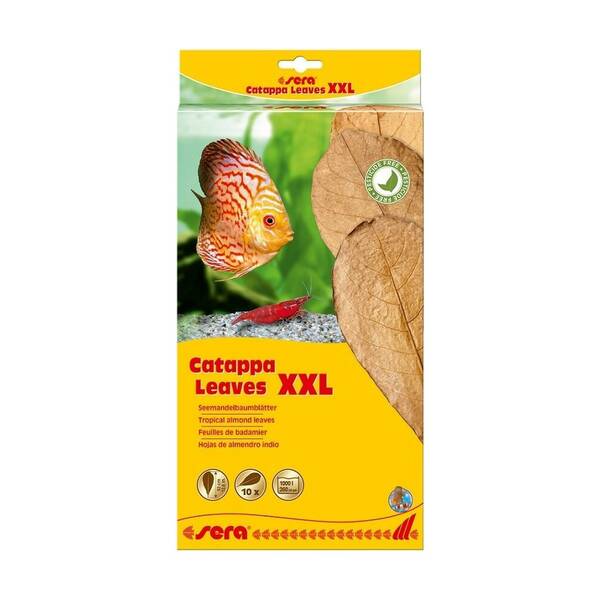 Sera Catappa Leaves XXL 32cm 10pcs Sera Catappa Leaves XXL 32cm 10pcs