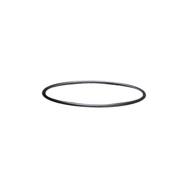 Sera Filter Head Seal (230642)