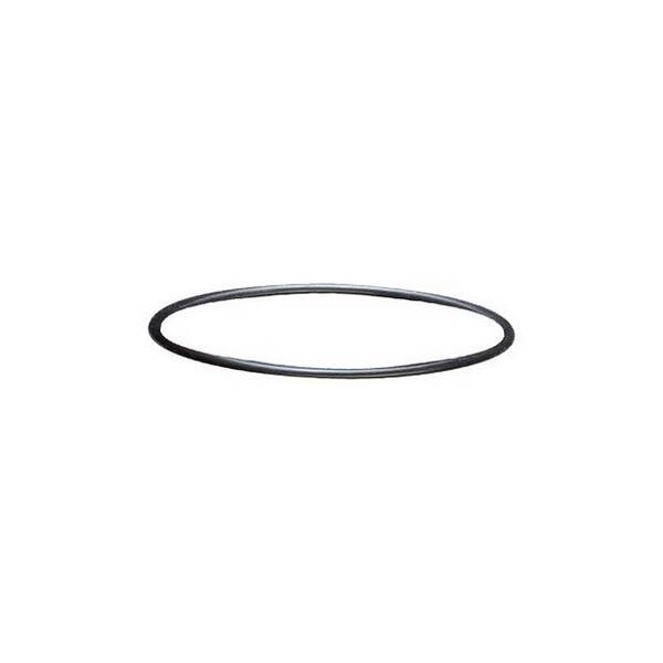 Sera Filter Head Seal (230642) Sera Filter Head Seal (230642)