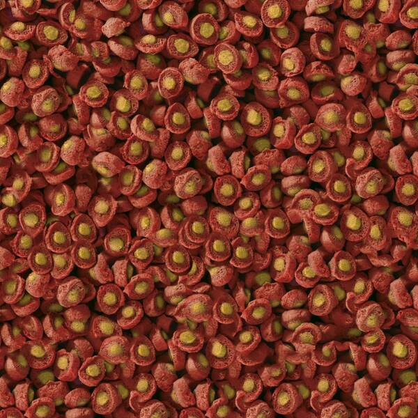 Sera Koi Prof. Spring/Autumn 7000gr
