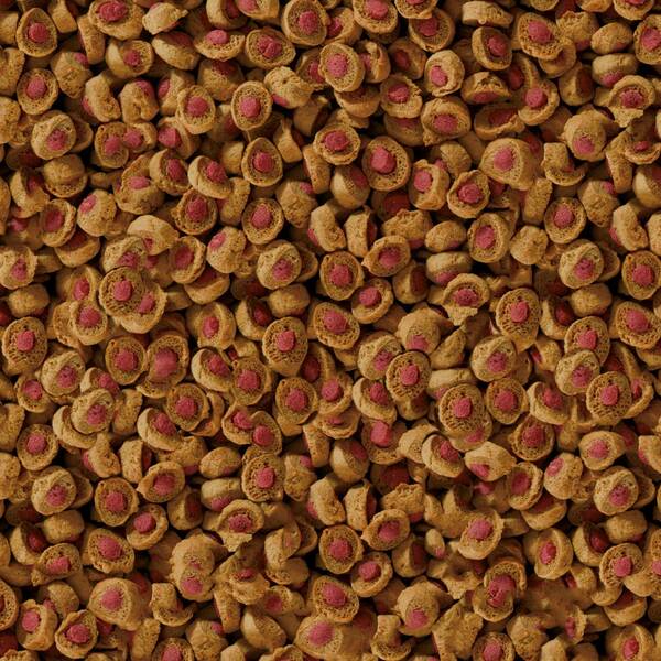 Sera Koi Prof. Summer Food 7000gr Sera Koi Prof. Summer Food 7000gr