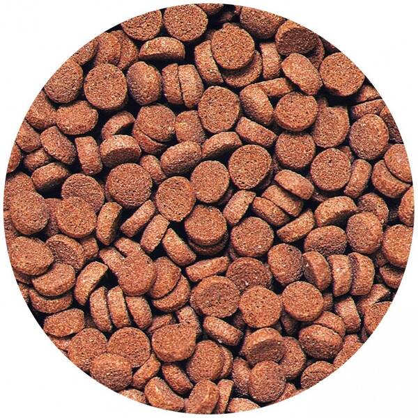 Tropical Carnivore Sinking Pellets 1000 ml