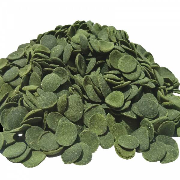 Tropical Green Algae Wafers 250 ml