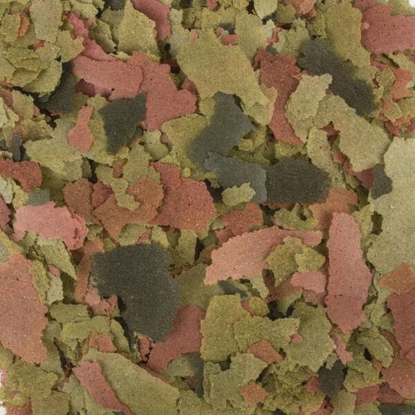 Tropical Malawi 250ml/50g Tropical Malawi 250ml/50g