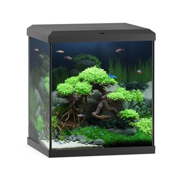 Juwel Vio Cube 54 Black