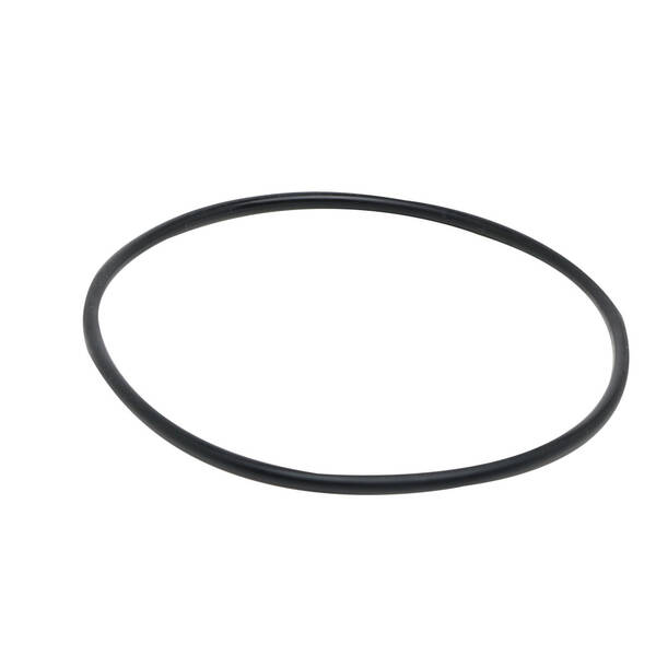 Fluval Seal Ring (A15830)