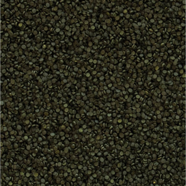 Tropical Super Spirulina Forte Mini Granulat 100 ml
