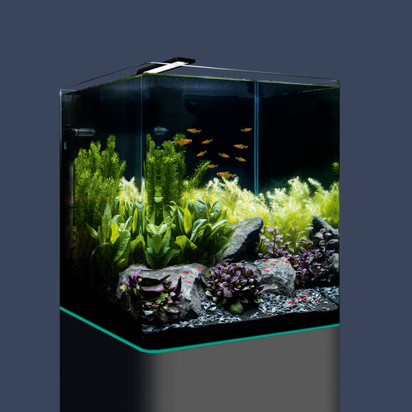 Dennerle Nano Cube Complete 60L 38x38x43cm