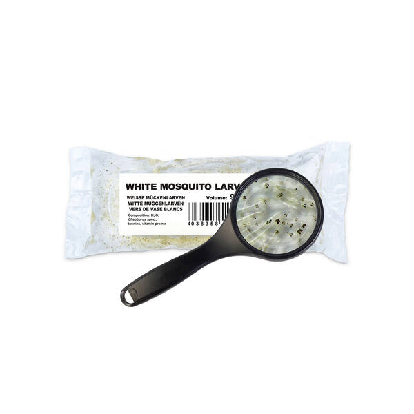Live Food White mosquito larvae 90 ml