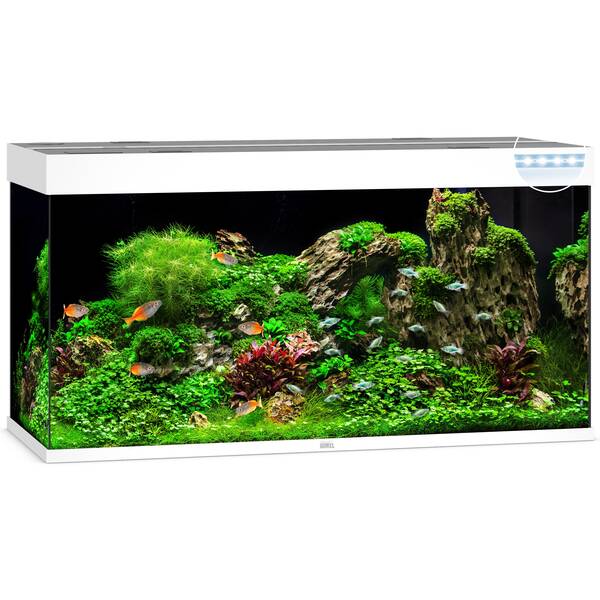 Juwel Rio 350 LED White