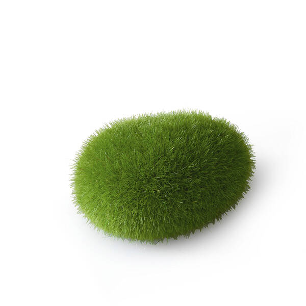 Aqua Della Moss Ball L - 11,5x9x6 cm