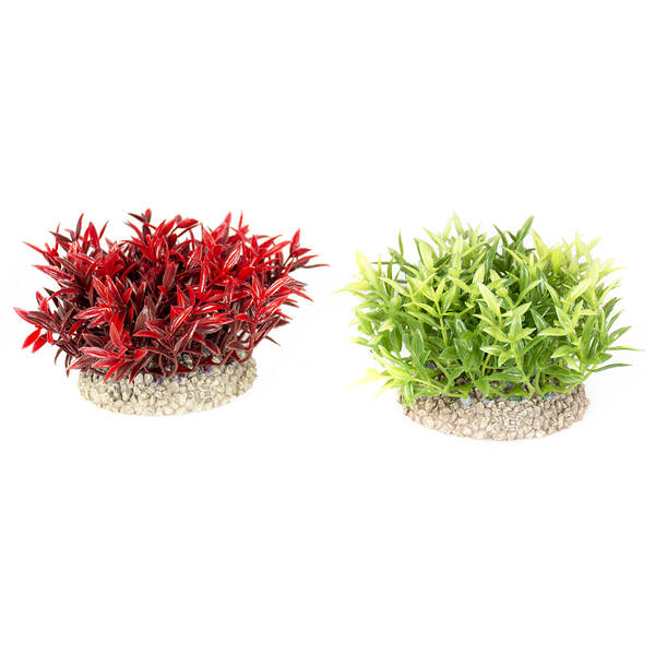 Aqua Della Plant Miracle Moss S Mixed Colors (Height 7,5 cm)