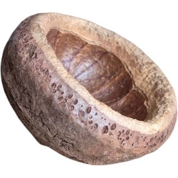 Nature4Pets Chapeuzinho Pods 7-12cm