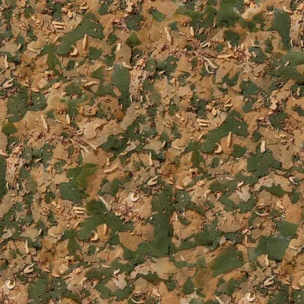 Sera GVG-Mix Royal Flakes Nature 250 ml