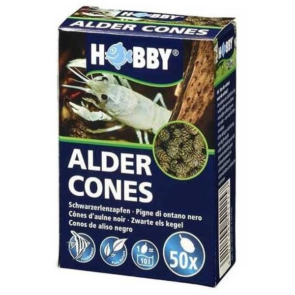 Hobby Alder Cones 50pcs Hobby Alder Cones 50pcs