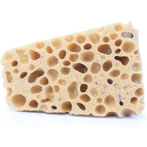 Dennerle Cleanator cleaning sponge