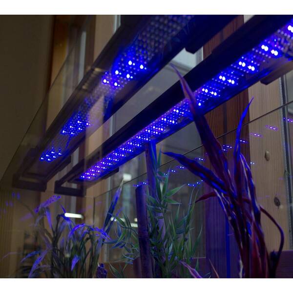 Fluval Led P36 Aqualife&Plant 35w (A3981) Fluval Led P36 Aqualife&Plant 35w (A3981)